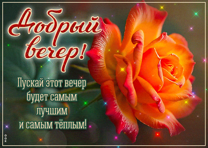 Открытка «Добрый вечер и пожелания»: Добрый вечер! Нежная оранжевая роза и пожелание. Тэги: Добрый вечер красивые…