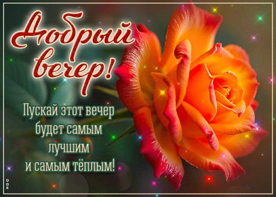 Открытка «Добрый вечер и пожелания»: Добрый вечер! Нежная оранжевая роза и пожелание. Тэги: Добрый вечер красивые…