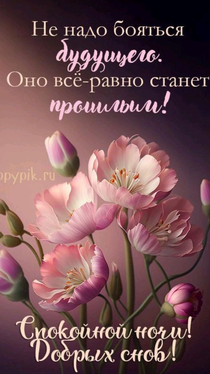 Открытка «Доброй ночи»: Доброй ночи: мудрая открытка с розовыми цветами. Тэги: Спокойной ночи, философский, будущее…