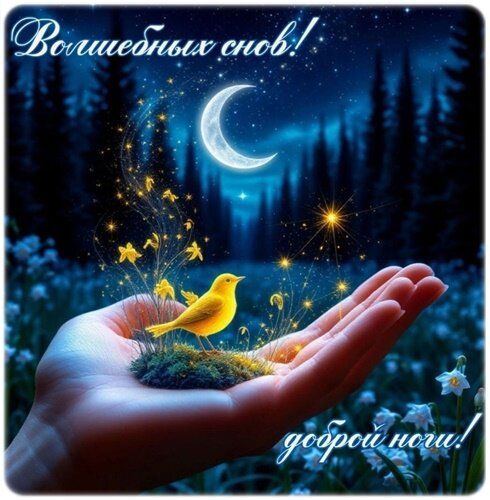 Открытка «Доброй ночи»: Доброй ночи: Волшебных снов и сказочный пейзаж. Тэги: Спокойной ночи, Спокойной ночи, красивые…
