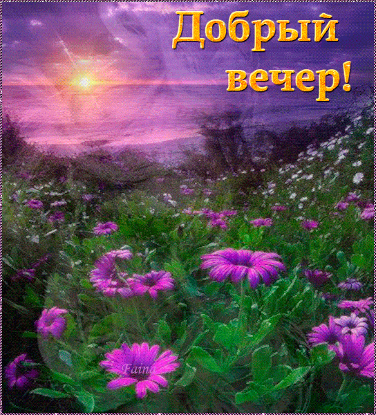 Открытка «Добрый вечер красивые»: Добрый вечер: «Прекрасный закат в поле цветов». Тэги: Доброго вечера и хорошего нас…