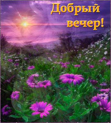 Открытка «Настроение»: Добрый вечер: «Прекрасный закат в поле цветов». Тэги: хороший, солнце, прекрасный, яркий…