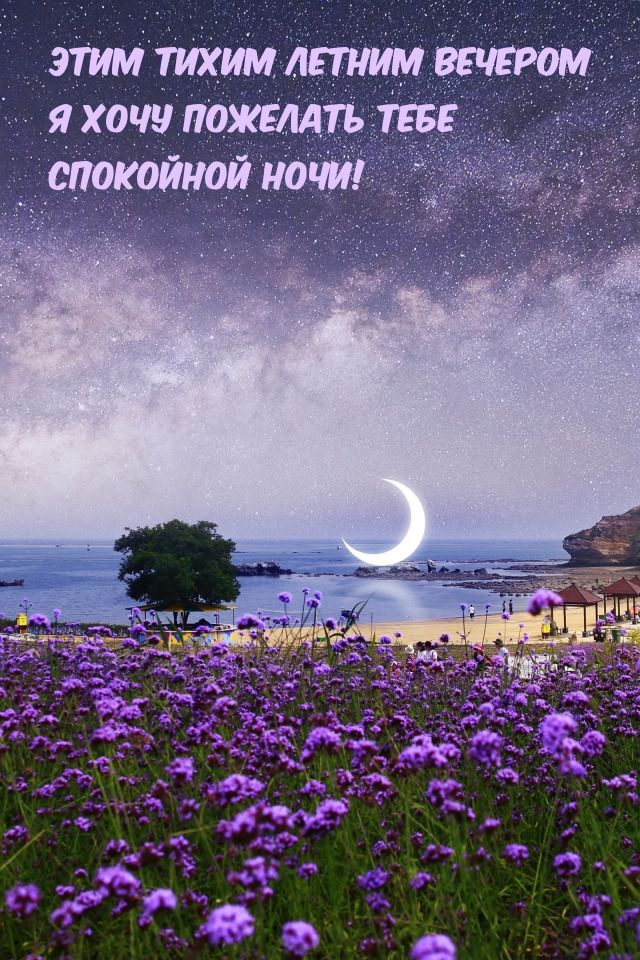 Открытка «Доброй ночи»: Спокойной ночи: летний вечер и звездное небо. Тэги: Спокойной ночи, тихий, Спокойной ночи…