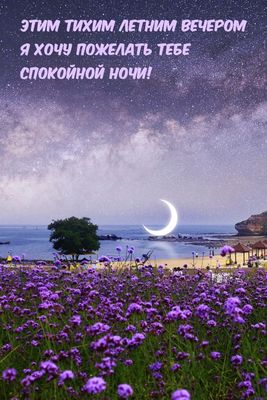 Открытка «Доброй ночи»: Спокойной ночи: летний вечер и звездное небо. Тэги: Спокойной ночи, тихий, Спокойной ночи…