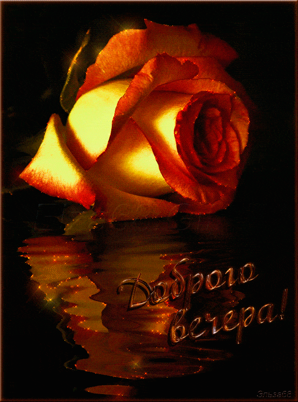 Открытка «Добрый вечер и пожелания»: Добрый вечер: Красивая роза для настроения. Тэги: Необычный добрый вечер, Доброг…