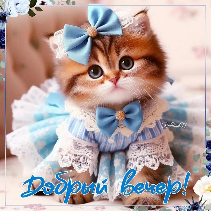 Открытка «Доброго вечера и хорошего настроения»: Добрый вечер: милый котенок в голубом платье. Тэги: Добрый вечер…