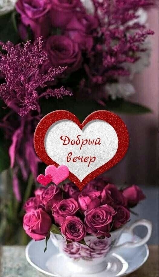 Открытка «Добрый вечер и пожелания»: Добрый вечер с букетом нежных роз в чашке. Тэги: Доброго вечера и хорошего настр…