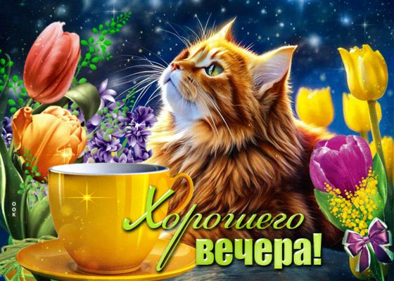 Открытка «Добрый вечер и пожелания»: Добрый вечер: пушистый рыжий кот и яркие цветы. Тэги: Доброго вечера и хорошего…