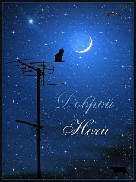 Открытка «Доброй ночи»: Доброй ночи: Кот на крыше под звездным небом.