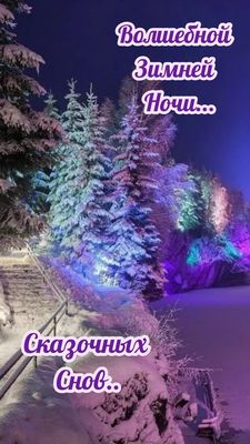 Открытка «Доброй ночи»: Доброй ночи: Волшебной зимней ночи и сказочных снов. Тэги: Спокойной ночи, пожелание, сказочн…