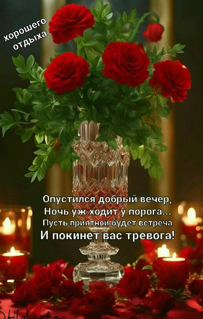 Открытка «Добрый вечер и пожелания»: Добрый вечер и пожелание хорошего отдыха. Тэги: Добрый вечер, с цветами, Добрый…