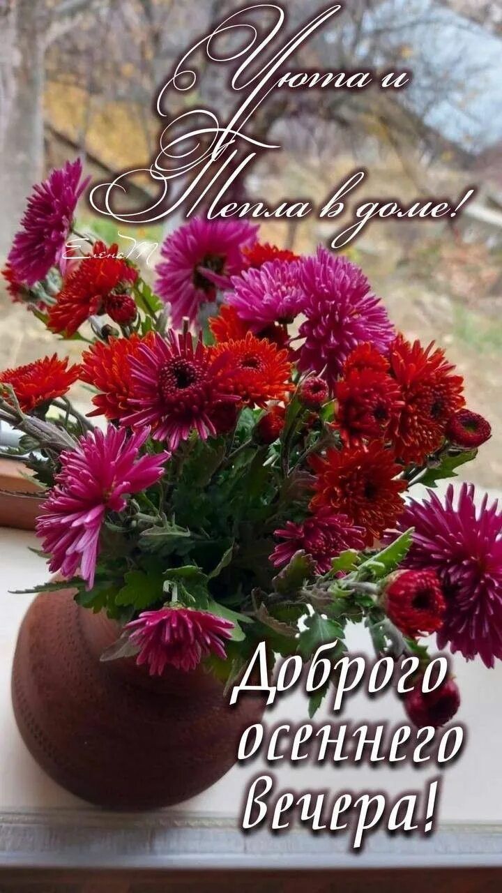 Открытка «Добрый день»: Добрый вечер: Уюта, тепла и осенних цветов. Тэги: Добрый день и добрые пожелания, Добрый день…