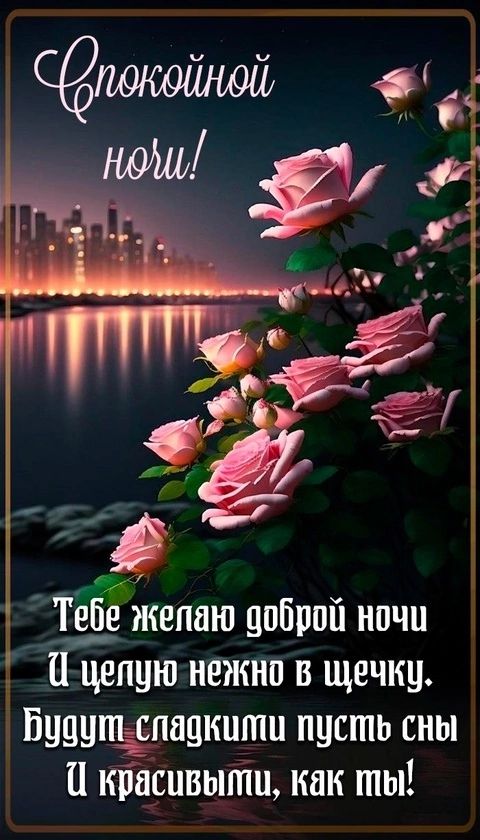Открытка «Доброй ночи»: Спокойной ночи: красивые розовые розы у воды. Тэги: Спокойной ночи, любимая женщина, Спокойно…
