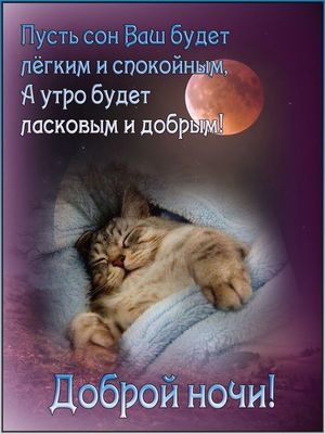 Открытка «С добрым утром»: Спокойной ночи: «Сонный котик под луной». Тэги: Доброй ночи, Спокойной ночи, С добрым утром…
