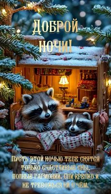 Открытка «Доброй ночи»: Доброй ночи: Сказочные еноты и спокойные сны. Тэги: Спокойной ночи, пожелание, настроение…
