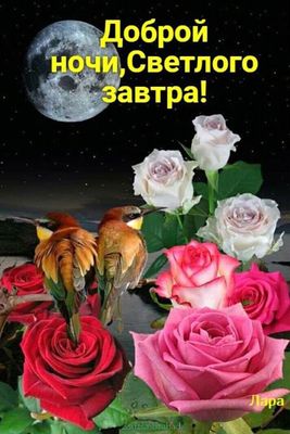 Открытка «Доброй ночи»: Спокойной ночи и светлого завтра: розы под луной. Тэги: Спокойной ночи, пожелание, птица…