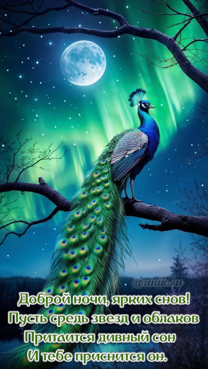 Открытка «Доброй ночи»: Спокойной ночи: «Сказочный павлин» и северное сияние. Тэги: Спокойной ночи, Спокойной ночи…
