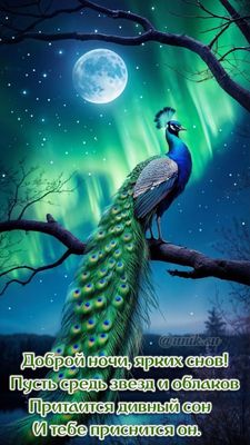 Открытка «Доброй ночи»: Спокойной ночи: «Сказочный павлин» и северное сияние. Тэги: Спокойной ночи, пожелание, настро…