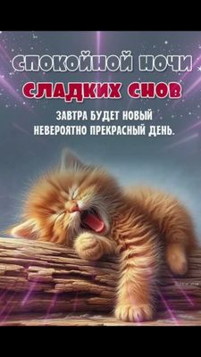 Открытка «Доброй ночи»: Спокойной ночи, сладких снов: милый рыжий котенок и пожелание снов. Тэги: Спокойной ночи…