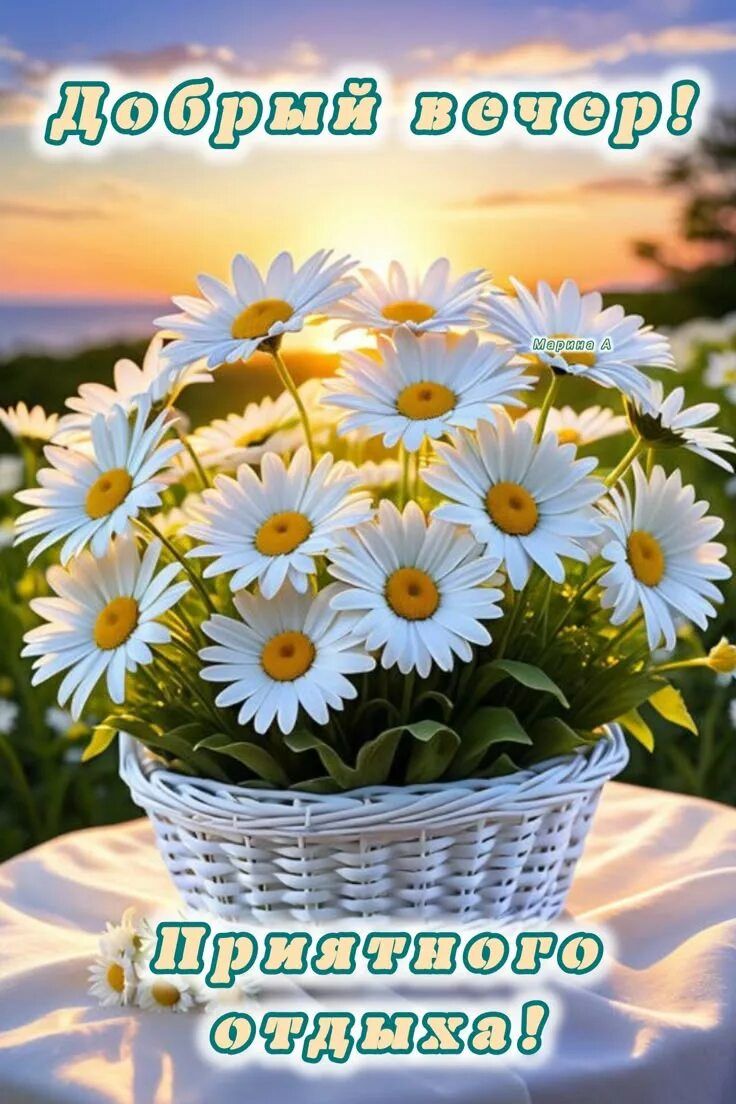 Открытка «Добрый вечер и пожелания»: Добрый вечер и приятный отдых с ромашками. Тэги: Добрый вечер красивые, Доброго…