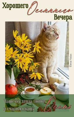 Открытка «Добрый вечер и пожелания»: Добрый вечер: уютная осенняя открытка с котом. Тэги: Добрый вечер, с котиками…