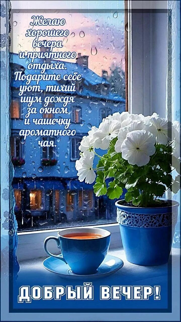 Открытка «Добрый вечер и пожелания»: Добрый вечер и приятный уютный отдых у окна. Тэги: Добрый вечер красивые, Добрый…