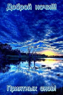 Открытка «Доброй ночи»: Доброй ночи: приятных снов и красивый пейзаж. Тэги: Спокойной ночи, пожелание, дерево, нежный…