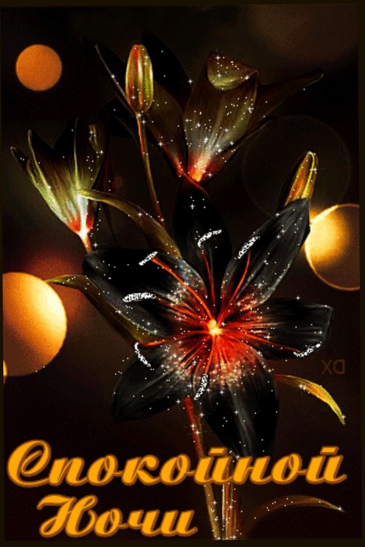 Открытка «Доброй ночи»: Спокойной ночи: стильная открытка с черными лилиями. Тэги: Спокойной ночи, Спокойной ночи…