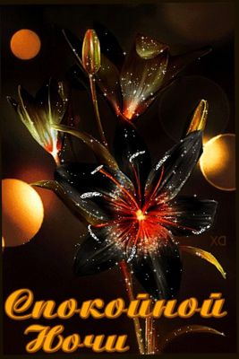 Открытка «Доброй ночи»: Спокойной ночи: стильная открытка с черными лилиями. Тэги: Спокойной ночи, пожелание, настрое…