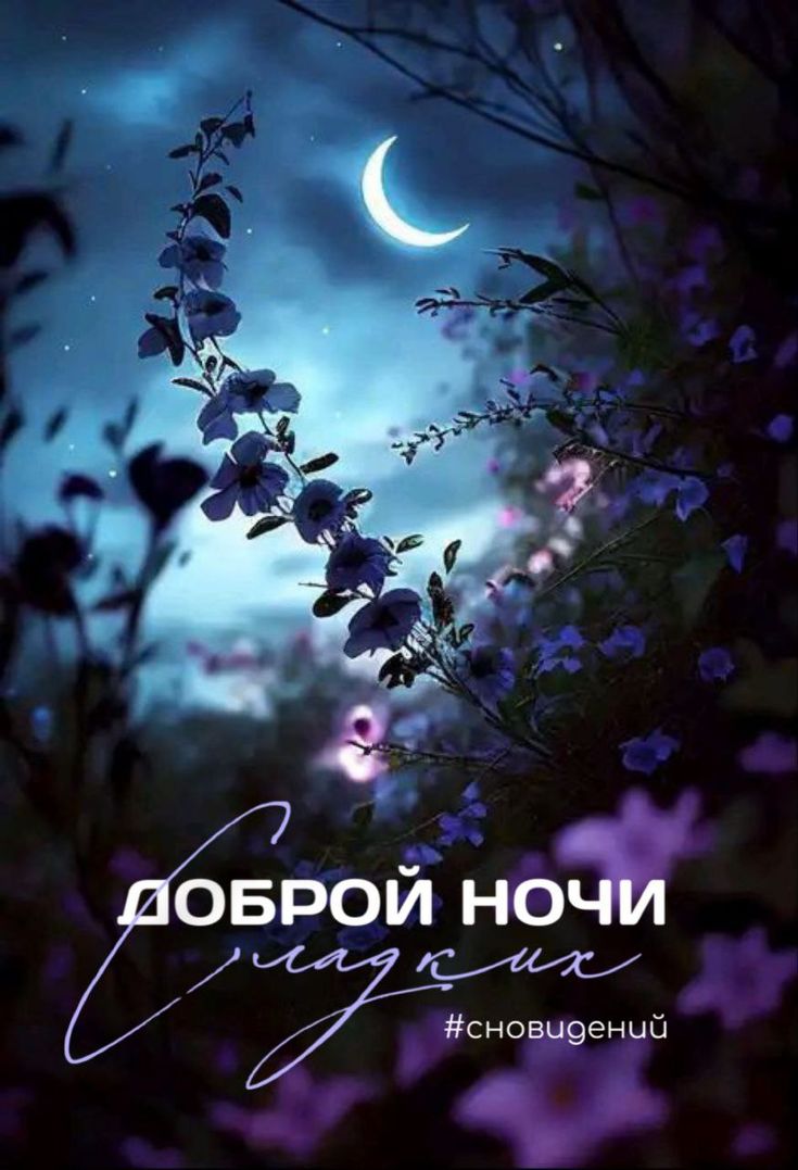 Открытка «Доброй ночи»: Доброй ночи: Волшебные цветы под луной. Тэги: Спокойной ночи, Спокойной ночи, красивые…