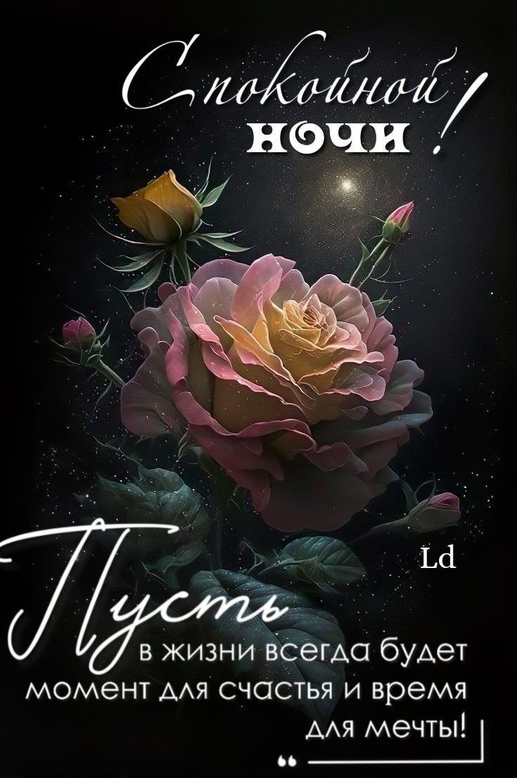Открытка «Доброй ночи»: Спокойной ночи: красивая роза и пожелание мечты. Тэги: Спокойной ночи, пожелание, надпись…