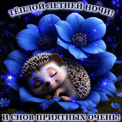 Открытка «Доброй ночи»: Доброй ночи: милый ежик в синих цветах. Тэги: Спокойной ночи, Спокойной ночи, красивые…