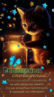 Открытка «Доброй ночи»: Доброй ночи: «Волшебных сновидений» с милым котенком. Тэги: Спокойной ночи, Спокойной ночи…