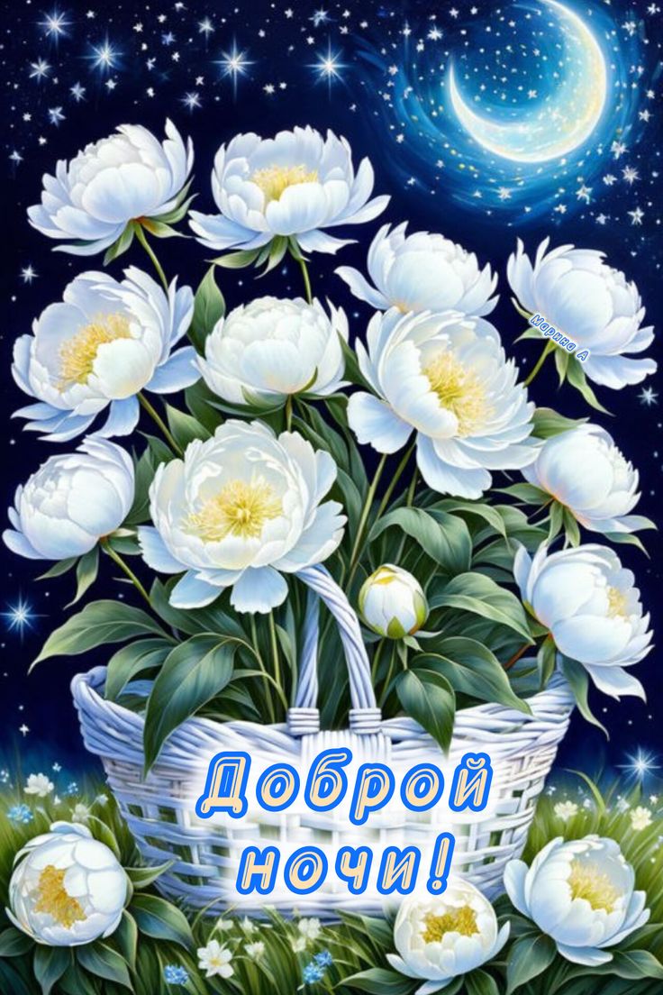Открытка «Доброй ночи»: Доброй ночи: Белые пионы под звездным небом. Тэги: Спокойной ночи, Спокойной ночи, красивые…