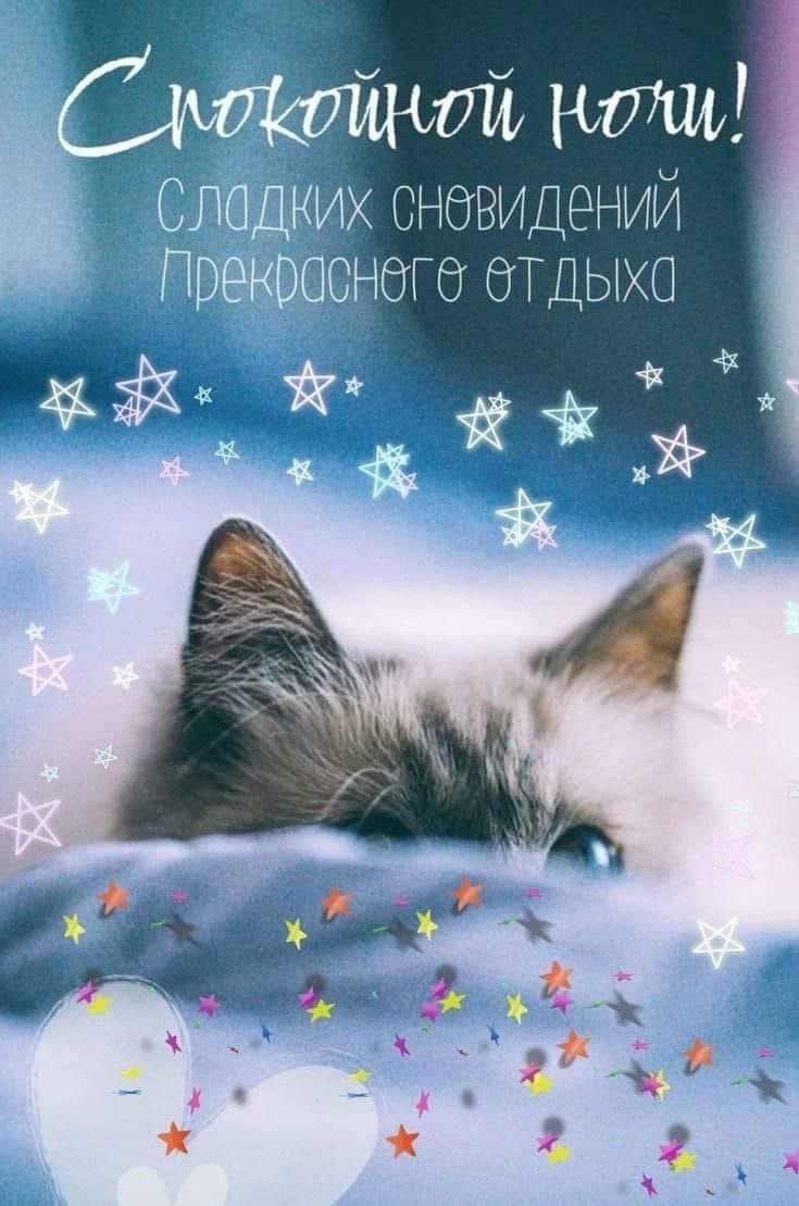 Открытка «Доброй ночи»: Спокойной ночи: Сладких снов и прекрасного отдыха. Тэги: Спокойной ночи, Спокойной ночи…