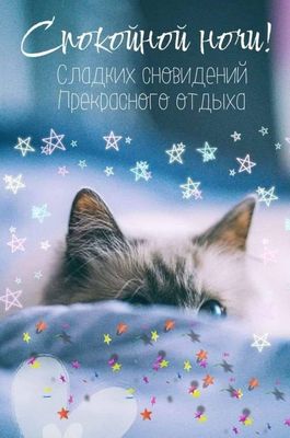 Открытка «Доброй ночи»: Спокойной ночи: Сладких снов и прекрасного отдыха. Тэги: Спокойной ночи, Спокойной ночи…