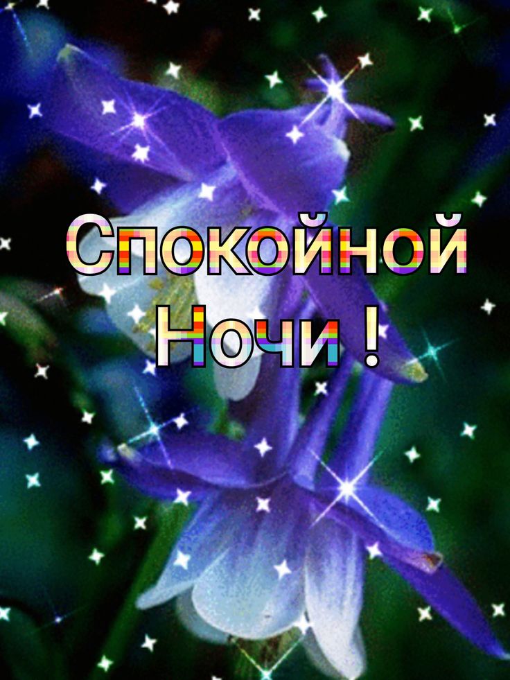 Открытка «Доброй ночи»: Спокойной ночи: стильная открытка с синими цветами. Тэги: Спокойной ночи, анимационный…