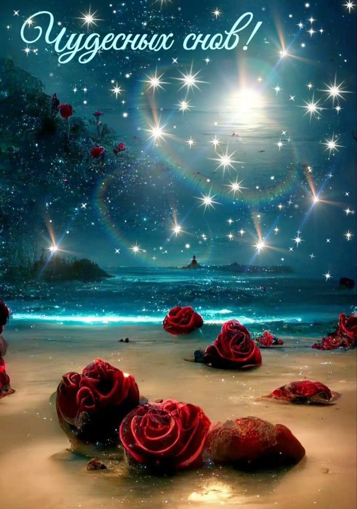 Открытка «Доброй ночи»: Доброй ночи: чудесных снов с розами у моря. Тэги: Спокойной ночи, ночной, Спокойной ночи…