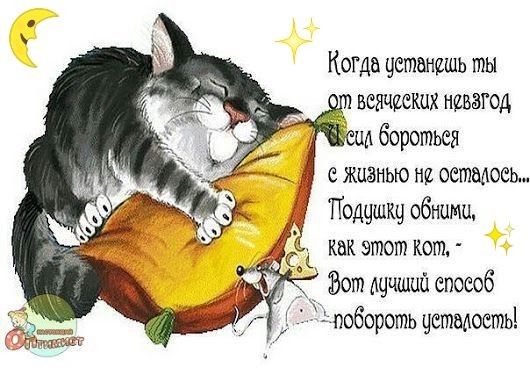 Открытка «Доброй ночи»: Спокойной ночи: Мудрый совет от спящего кота. Тэги: Спокойной ночи, Спокойной ночи, с пожелан…