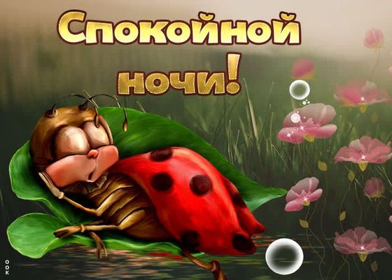 Открытка «Доброй ночи»: Спокойной ночи: милая божья коровка на листке. Тэги: Спокойной ночи, Спокойной ночи, с пожела…