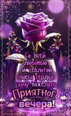 Открытка «Пожелание»: Добрый вечер: «Фиолетовая роза и звезды» с пожеланием. Тэги: настроение, радость, женщина…