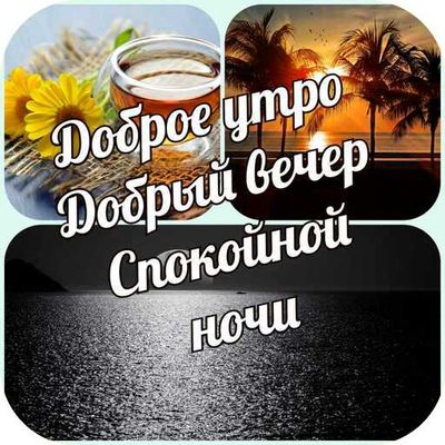 Открытка «С добрым утром»: С добрым утром, бодрого дня и спокойной ночи. Тэги: Спокойной ночи, С добрым, летним утром…