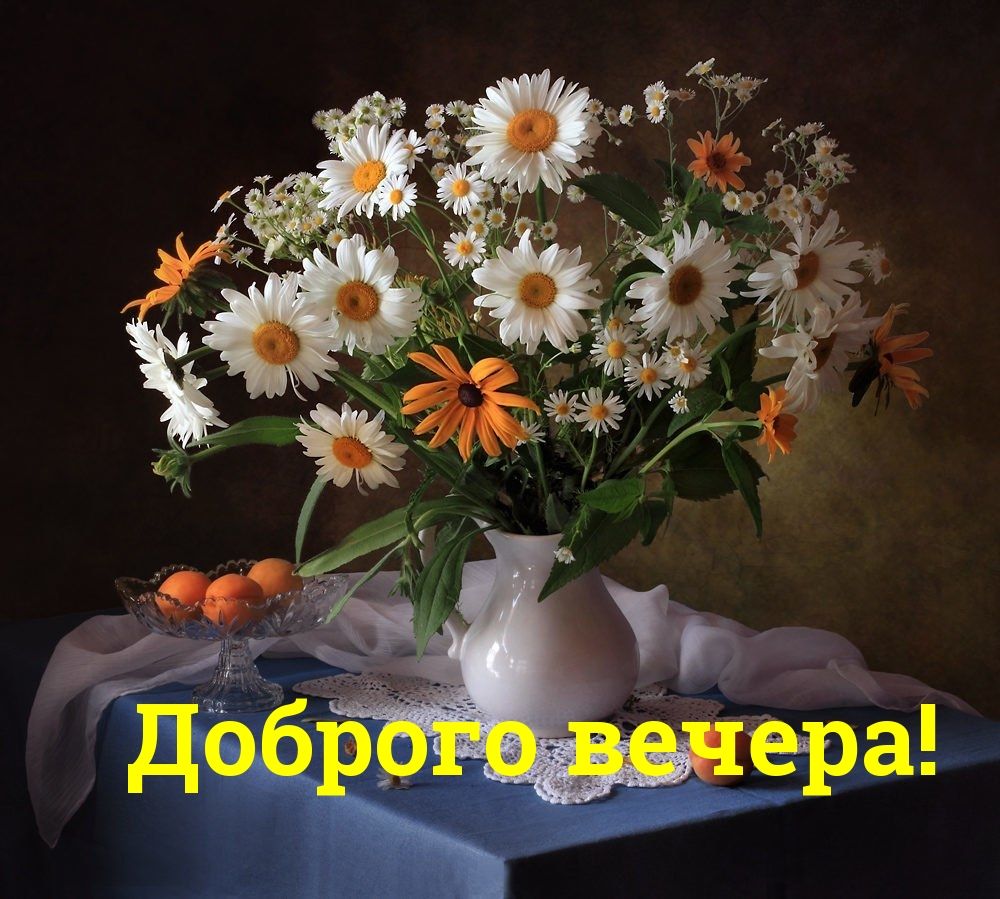 Открытка «Добрый вечер и пожелания»: Добрый вечер: «Букет ромашек и абрикосы». Тэги: Добрый вечер красивые, Добрый ве…
