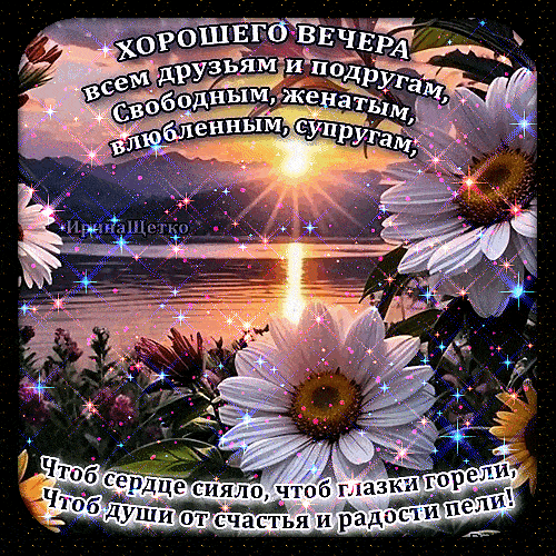 Открытка «Свободный»: Добрый вечер: «Ромашки на закате» для друзей. Тэги: Добрый вечер и пожелания, Добрый вечер женщ…