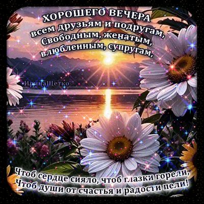 Открытка «Свободный»: Добрый вечер: «Ромашки на закате» для друзей. Тэги: Добрый вечер и пожелания, Добрый вечер женщ…