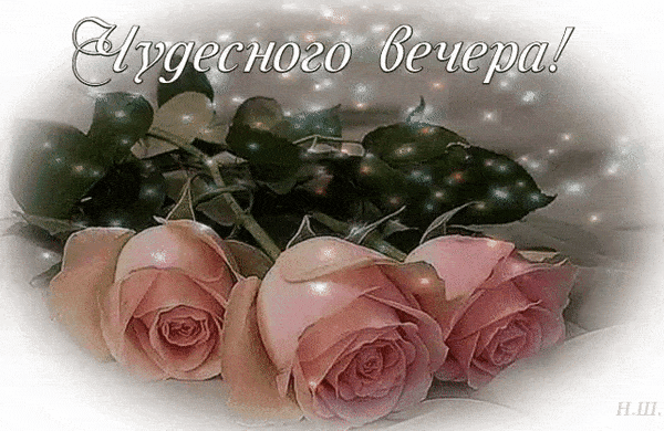 Открытка «Добрый вечер и пожелания»: Добрый вечер: «Чудесные розовые розы» для души. Тэги: Добрый вечер женщине…