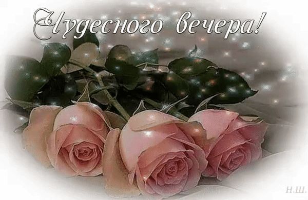 Открытка «Добрый вечер и пожелания»: Добрый вечер: «Чудесные розовые розы» для души. Тэги: Добрый вечер женщине…