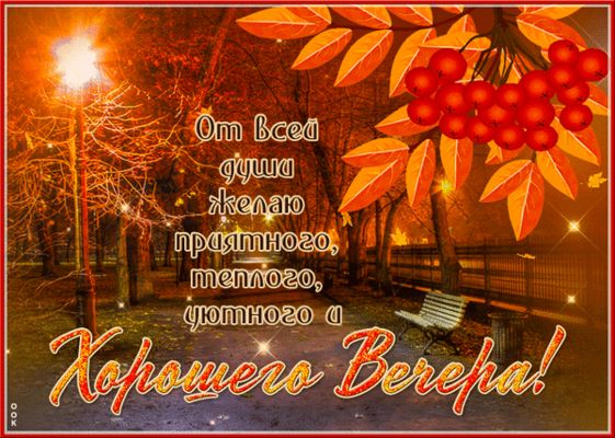 Открытка «Добрый вечер и пожелания»: Добрый вечер: «Осенний парк и рябина». Тэги: Доброго вечера и хорошего настроения…