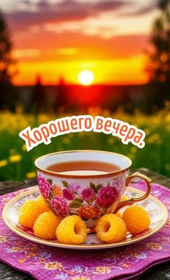 Открытка «Добрый вечер и пожелания»: Добрый вечер: чай и ягоды на закате. Тэги: Доброго летнего вечера, Доброго вечер…
