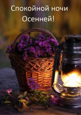 Открытка «Доброй ночи»: Спокойной осенней ночи: открытка с цветами и лампой. Тэги: Спокойной ночи, Спокойной ночи…